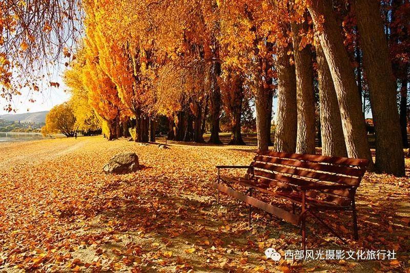 马道镇团委：暖冬行动 为爱加温